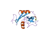 2h2t: CD23 Lectin domain, Calcium 2+-bound