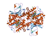 2h3b: Crystal Structure of Mouse Nicotinamide Phosphoribosyltransferase/Visfatin/Pre-B Cell Colony Enhancing Factor 1