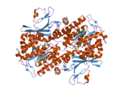 2h3d: Crystal Structure of Mouse Nicotinamide Phosphoribosyltransferase/Visfatin/Pre-B Cell Colony Enhancing Factor in Complex with Nicotinamide Mononucleotide