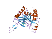 2hbu: Crystal structure of HIF prolyl hydroxylase EGLN-1 in complex with a biologically active inhibitor