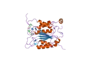 2hby: Crystal structure of human caspase-1 (Glu390->Ala) in complex with 3-[2-(2-benzyloxycarbonylamino-3-methyl-butyrylamino)-propionylamino]-4-oxo-pentanoic acid (z-VAD-FMK)