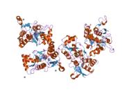 2i3v: Measurement of conformational changes accompanying desensitization in an ionotropic glutamate receptor: Structure of G725C mutant