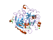 2jh6: HUMAN THROMBIN HIRUGEN INHIBITOR COMPLEX.