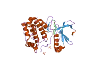 2np8: Structural Basis for the Inhibition of Aurora A Kinase by a Novel Class of High Affinity Disubstituted Pyrimidine Inhibitors