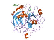 2od3: Human thrombin chimera with human residues 184a, 186, 186a, 186b, 186c and 222 replaced by murine thrombin equivalents.