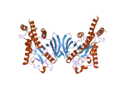 2p6x: Crystal structure of human tyrosine phosphatase PTPN22