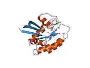 5p21: REFINED CRYSTAL STRUCTURE OF THE TRIPHOSPHATE CONFORMATION OF H-RAS P21 AT 1.35 ANGSTROMS RESOLUTION: IMPLICATIONS FOR THE MECHANISM OF GTP HYDROLYSIS