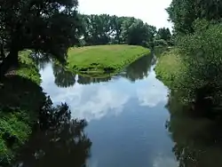 Confluence with the Oker (right) near Müden