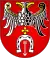 Coat of arms of Brzeziny County