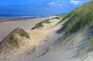 A photo of seaside dunes