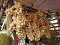 L. domesticum 'Paete' being sold in Paete, Laguna, Philippines