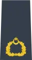 (Pakistan Air Force)