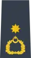 (Pakistan Air Force)