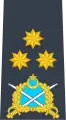 (Pakistan Air Force)