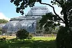 Palm Greenhouse, St. Petersburg Botanical Garden