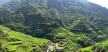 Ancient mountainside rice terraces at Banaue, Philippines