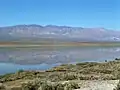 'Panamint Lake' in 2005, view near Ballarat