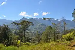 Landscape in the New Guinea Highlands