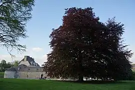 The chateau in Étoges