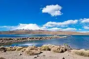 The marina of Chungará Lake