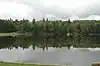 A line of trees reflected in a still lake under a cloudy sky