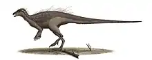 Parksosaurus warreni