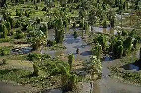 Marshes in Río Pilcomayo National Park