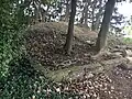 Partially Buried Woodshed remains, Kent, OH, US