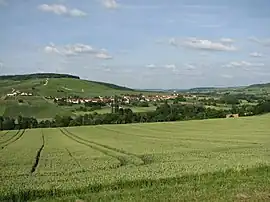 A general view of Passy-sur-Marne