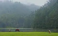 Lagunas de ZempoalaHighland oceanic climate (Cwb)