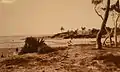 Photograph of Carrum Creek (Patterson River) in the early 1900s.