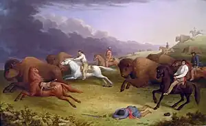 Paul Kane's oil painting Half-Breeds Running Buffalo, depicting a Métis buffalo hunt on the prairies of Dakota in June 1846