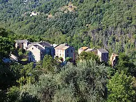 The village of Acquatella, in Penta-Acquatella