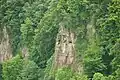 Peregrine falcons at Symonds Yat
