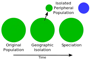 Simple model of speciation from isolation