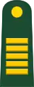 Lieutenant Colonel