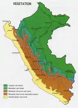 Vegetation of Peru