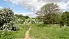 Pevensey Road Nature Reserve