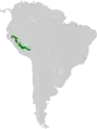 Range of Koepke's Hermit hummingbird (Phaethornis koepckeae)