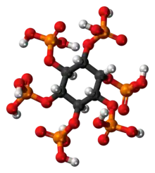 Ball-and-stick model of phytic acid