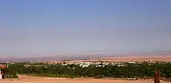 Desert landscape with a broad band of green trees in the foreground, and inmediately behind the trees the town of Pica. Behind the town a large barren plain is seen and farthest parts a series of large but gently.sloping mountains.