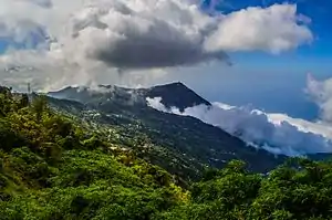 Temperate highland climate in El Avila National Park