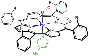 A picket-fence porphyrin complex of Fe, with axial coordination sites occupied by methylimidazole (green) and dioxygen (R = amide groups).