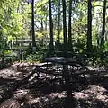 Picnic table at Cypress Lake edge, with new pier in distance