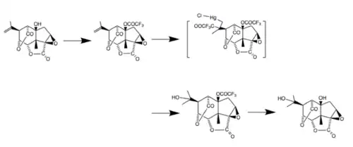 Picrotin from picrotoxinin: (1) Protection with trifluoroacetic anhydride, followed by (2) addition of chloromercury trifluoroacetate, which (3) spontaneously decomposes to the alcohol and can then be (4) deprotected