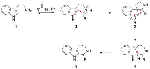 The mechanism of the Pictet–Spengler reaction