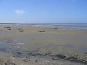 Lower Saxon Wadden Sea National Park