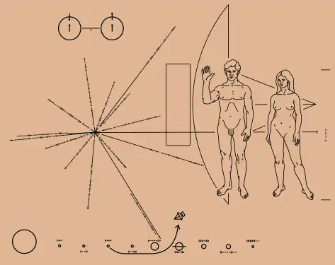 Illustration of the Pioneer plaque