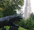 Panther outside the Pete