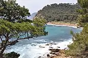 Coastline in Saint-Mandrier-sur-Mer